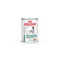 Royal Canin Veterinary Diet Diabetic 410 g