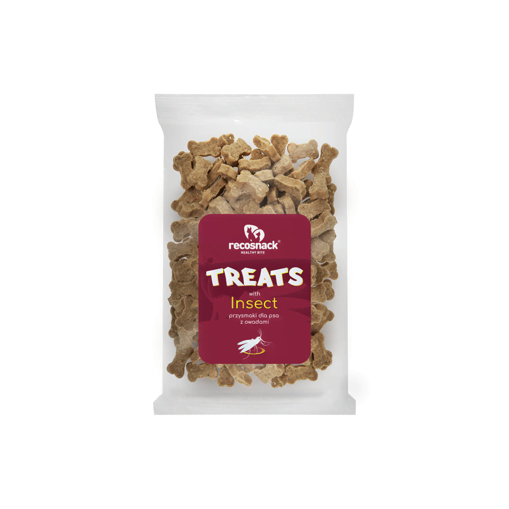 RECOSNACK insect przysmak z owadami 20g