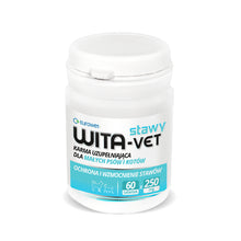 Eurowet Wita - Vet Stawy Pies Kot 60 Tabletek