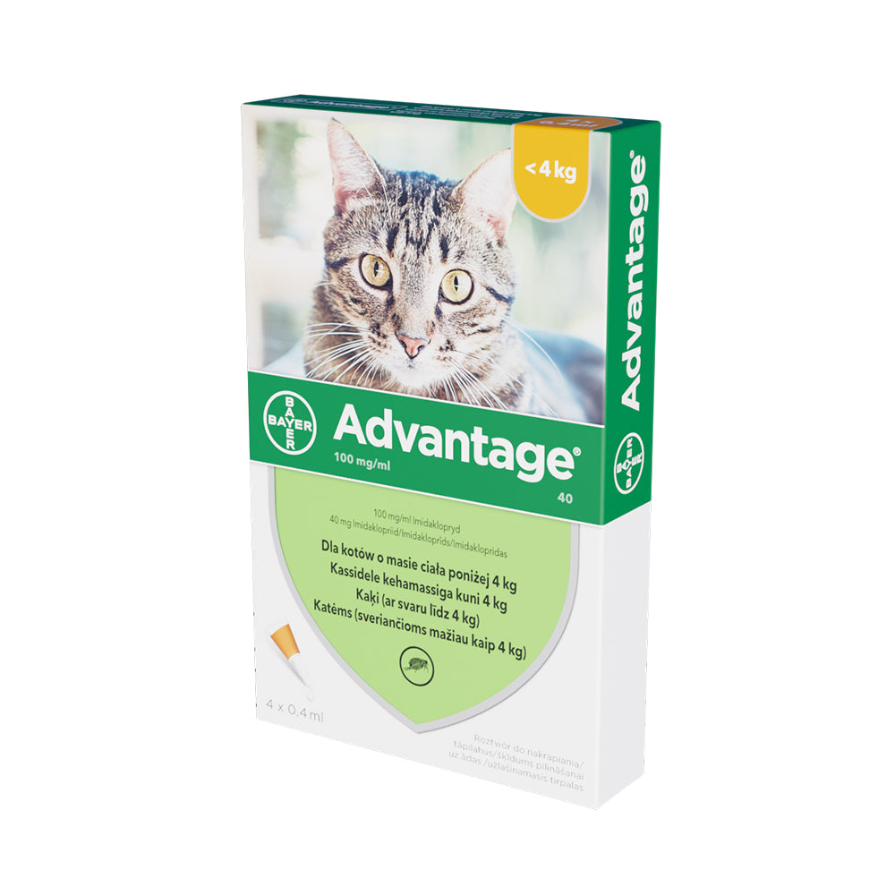 Advantage Dla Kota 0.4 ml x 4 Roztwór  Blister