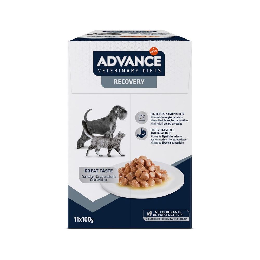 Pakiet Advance Diet Recovery Mokra Karma Dla Psów i Kotów w Trakcie Rekonwalescencji 11 x 100 g