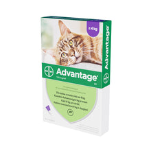 Advantage Dla Kota 0.8 ml x 4 Roztwór  Blister