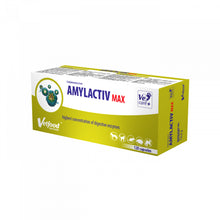 Amylactiv Max Suplement Dla Psa i Kota Wspomagający Pracę Przewodu Pokarmowego 120 kapsułek