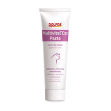 Dolfos Multivital Cat Paste 100 g