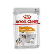 ROYAL CANIN CCN Coat Care Karma Mokra - Pasztet Dla Psów Dorosłych O Matowej Sierści 85 g