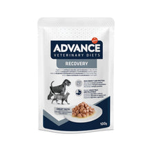 Advance Diet Recovery Mokra Karma Dla Psów i Kotów w Trakcie Rekonwalescencji 100 g
