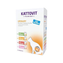 KATTOVIT Urinary multipak 12x85g choroby układu moczowego