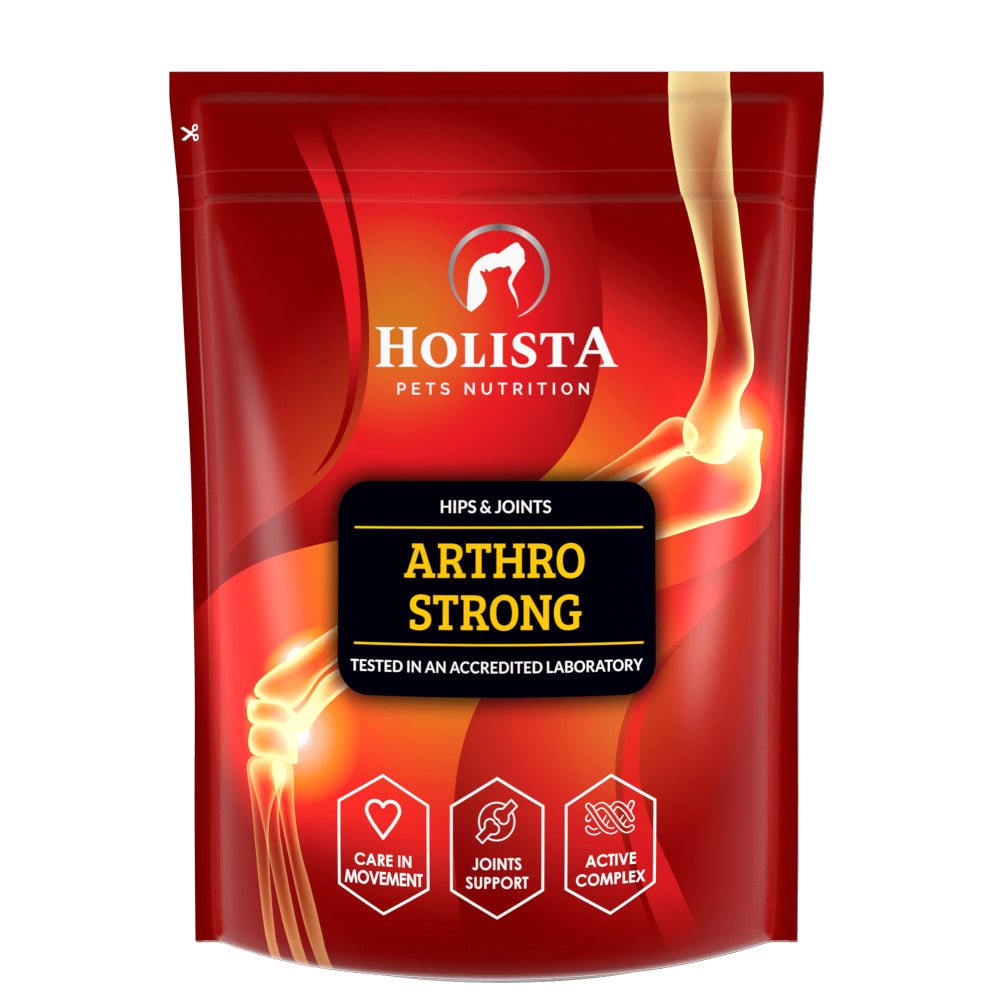 HOLISTA Arthro Strong suplement na stawy dla psów 600g