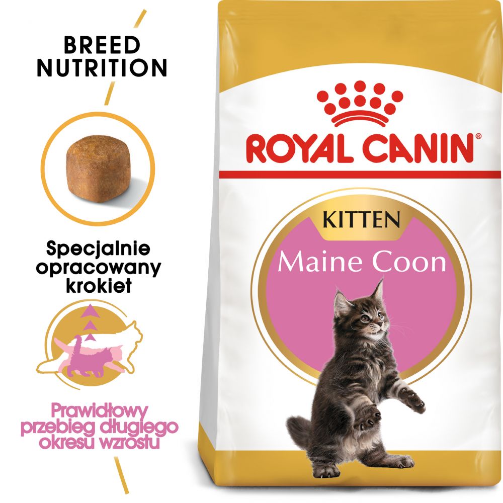 ROYAL CANIN Maine Coon Kitten Karma Sucha Dla Kociąt Do 15 Miesiąca Rasy Maine Coon 10 kg