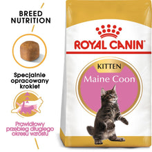 ROYAL CANIN Maine Coon Kitten Karma Sucha Dla Kociąt Do 15 Miesiąca Rasy Maine Coon 10 kg