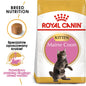 ROYAL CANIN Maine Coon Kitten Karma Sucha Dla Kociąt Do 15 Miesiąca Rasy Maine Coon 10 kg