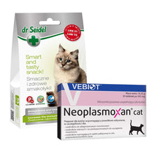 Pakiet Neoplasmoxan Cat Preparat Dla Kota z Zdiagnozowanym Nowotworem 30 Tabletek + Dr Seidel Smakołyki Zwiększenie Odporności dla Kota 50 g GRATIS!