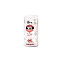 Brit Fresh Beef With Pumpkin Wołowina Dynia Large Breed Puppies & Junior Dogs 12 kg