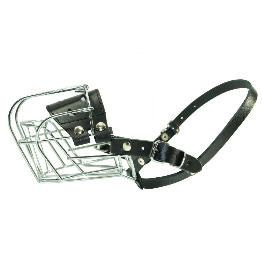 Dino Kaganiec Metalowy Dla Pudla Rozmiar 1