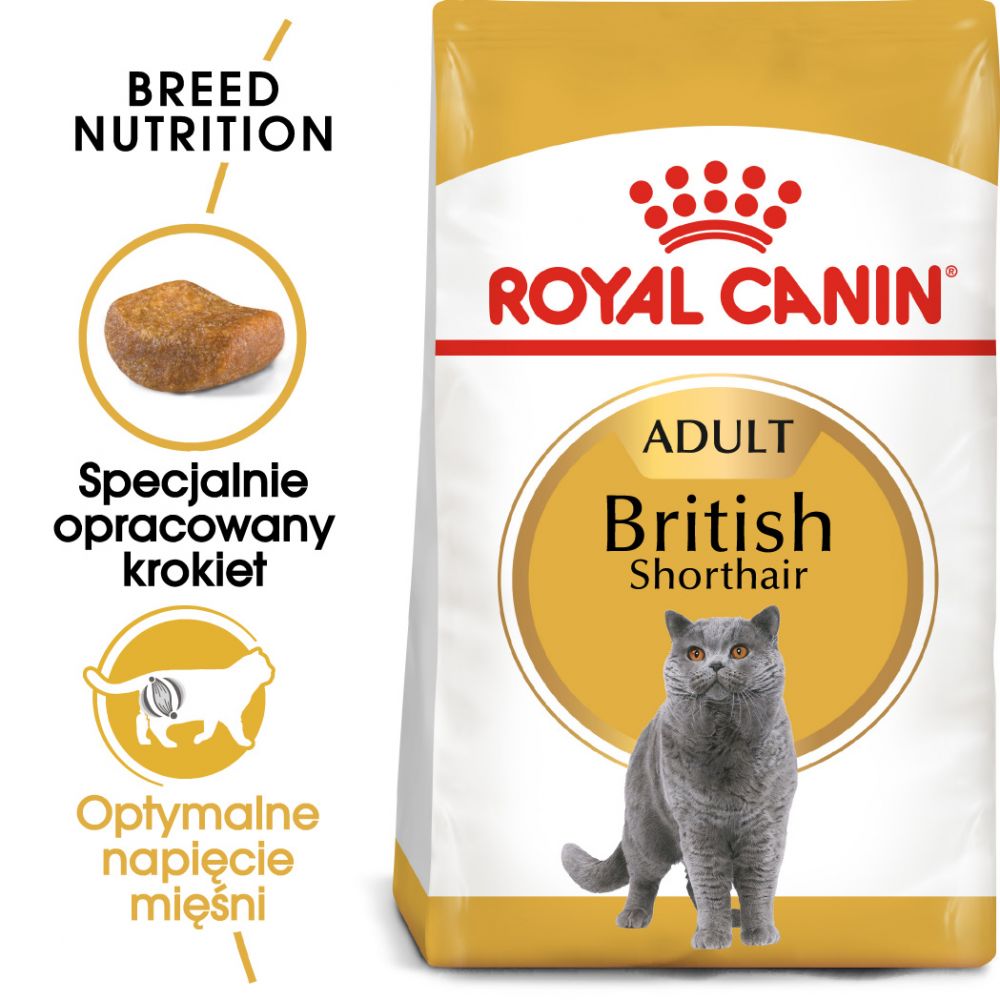 ROYAL CANIN British Shorthair karma sucha dla kotów dorosłych rasy brytyjski krótkowłosy 10 kg