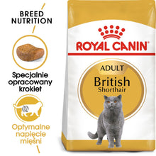 ROYAL CANIN British Shorthair karma sucha dla kotów dorosłych rasy brytyjski krótkowłosy 10 kg
