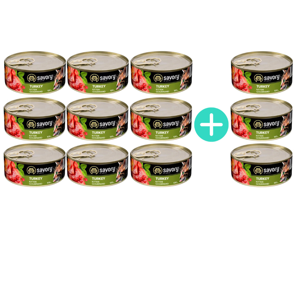 Pakiet Savory Cat Kitten Turkey Karma Mokra Dla Kociąt z Indykiem 9 x 100 g + 3 Puszki GRATIS!