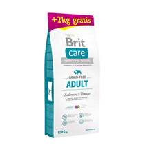 Brit Care Grain-Free Bezzbożowa Salmon & Potato Łosoś Adult 12 kg + 2 kg