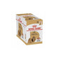 Royal Canin Shih Tzu Loaf 85g 12 PACK