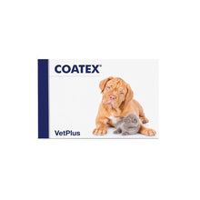 VETPLUS Coatex choroby skóry i sierści 60 kapsułek