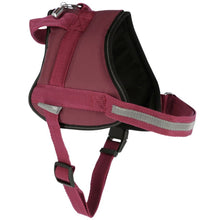 Kerbl Szelki Dla Psa Maestro 45 - 60 cm x 15 mm Czerwone