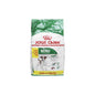 ROYAL CANIN Mini Adult  Karma Sucha Dla Psów Dorosłych Ras Małych 8 + 1 kg
