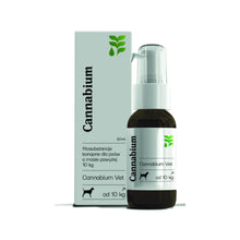 Cannabium Vet Preparat Na Układ Endokanabinoidowy Dla Psów Powyżej 10 Kg 30 ml