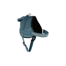 Kerbl Szelki Dla Psa Maestro 64 - 90 cm x 25 mm Turkusowe