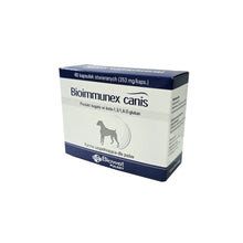 Biowet Bioimmunex Canis Wspomaganie Odporności 40 Kapsułek