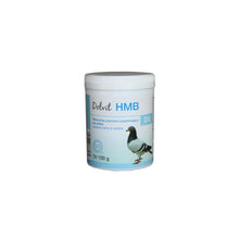 Dolvit HMB DG 100 g