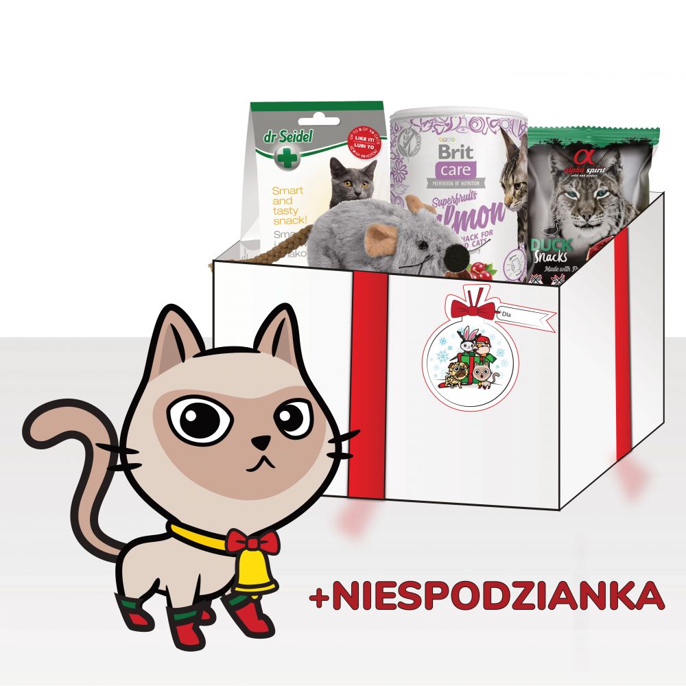 Prezent Gwiazdkowy Dla Kota z Myszką