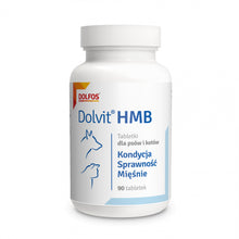 Dolvit HMB 90 Tabletek