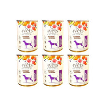 Pakiet 4VETS Natural Dog Gastro Intestinal 6x400g