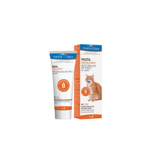 Francodex Pasta Odkłaczająca Dla Kotów 70 g