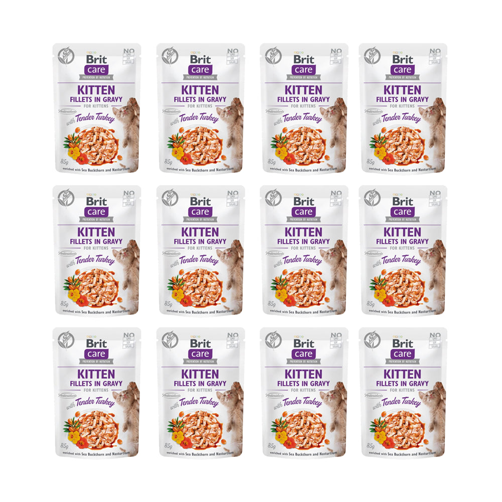 Pakiet Brit Care Cat Fillets in Gravy Tender Turkey Kitten Fileciki Z Indyka W Sosie 12 x 85 g