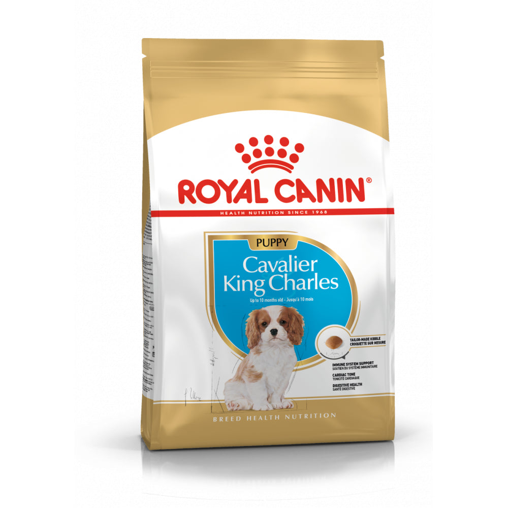 ROYAL CANIN Cavalier King Charles Spaniel Puppy Karma sucha Dla Szczeniąt Do 10 miesiąca Rasy Cavalier King Charles Spaniel 1,5 kg