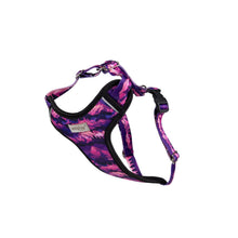 Amiplay Szelki Discovery BeNature Rozmiar S Mountains