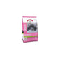 Arion Original Cat Kitten Karma Dla Kociąt 2 kg