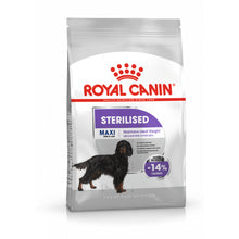 Royal Canin CCN Maxi Sterilised Karma Sucha Dla Psów Dorosłych Ras Dużych, Sterylizowanych 12 kg