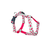 Amiplay Szelki Regulowane Guard BeHappy Rozmiar XL Watermelon