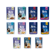 Pakiet Brit Premium Dla Kota Mix Smaków 11 saszetek