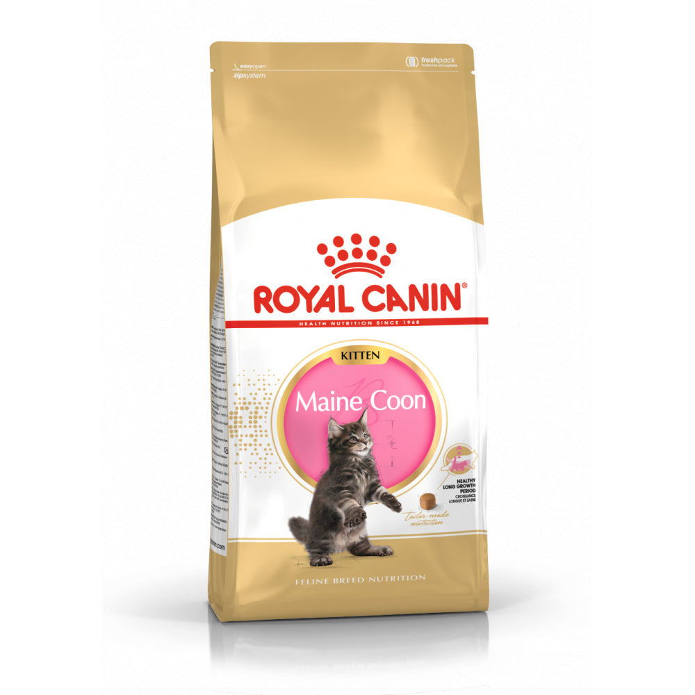 ROYAL CANIN Maine Coon Kitten Karma Sucha Dla Kociąt Do 15 Miesiąca Rasy Maine Coon 2 kg