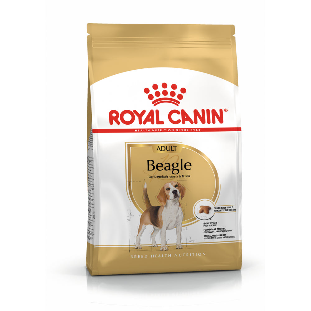 ROYAL CANIN Beagle Adult Karma Sucha Dla Psów Dorosłych Rasy Beagle 12 kg