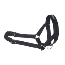 Amiplay Halter Basic Rozmiar XL Czarny