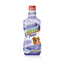 DENTAL FRESH Kamień &amp; osad 237 ml
