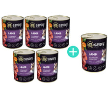Pakiet Savory Cat Adult Sterilised Lamb Karma Mokra Dla Dorosłych Kotów Po Sterylizacji i Kastracji z Jagnięciną 5 x 400 g + 1 Puszka GRATIS!