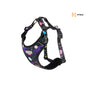 Amiplay Szelki Regulowane BeSpace Discovery Rozmiar L Milkyway