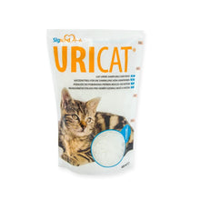 Uricat podłoże do pobierania moczu 1 sztuka