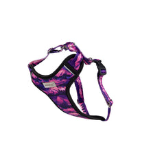 Amiplay Szelki Discovery BeNature Rozmiar M Mountains