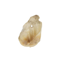 Bult Ucho Wieprzowe Białe Przysmak Dla Psa 10 sztuk